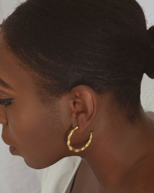 Bamboo Earrings